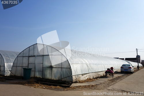 Image of Large greenhouse for plants in the autumn
