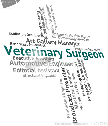 Image of Veterinary Surgeon Indicates Career Healer And Word