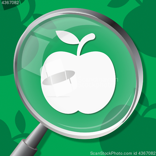 Image of Apple Magnifier Means Diet Organic And Searches