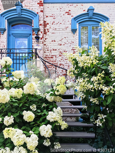 Image of White gardenias decorating facade of a picturesque townhouse