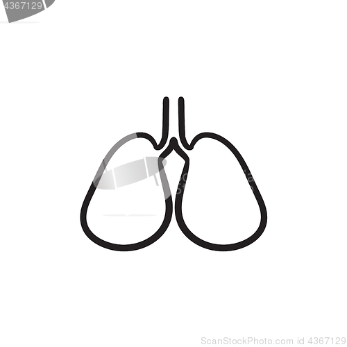 Image of Lungs sketch icon.