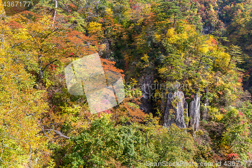 Image of Naruko canyon in autumn