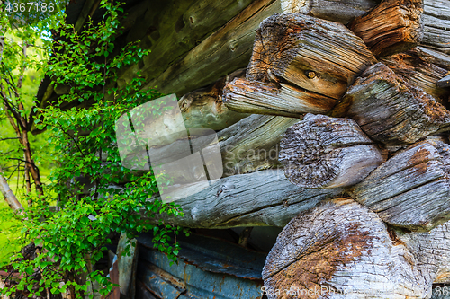 Image of An old building of an old notched seals in beautiful natural sur