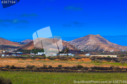 Image of Green cultivated landscape in the valleys of Lanzarote.