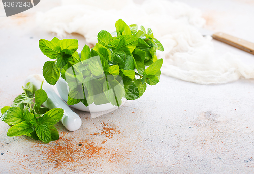 Image of fresh mint leaf