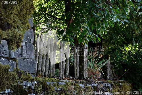 Image of Fence