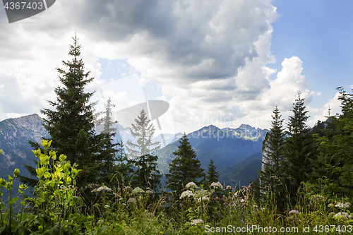 Image of Panorama view from Bavarian Alps, Germany