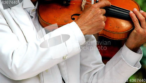 Image of Violinist performing.