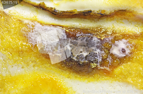 Image of Detail of Spoiled Moldy cheese close up