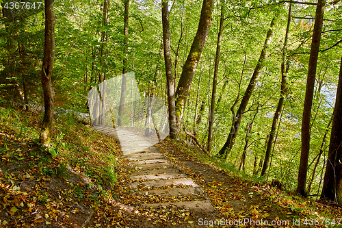 Image of Stairway in a mountain park