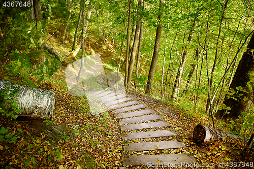 Image of Stairway in a mountain park