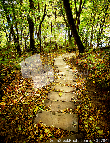 Image of Stairway in a mountain park