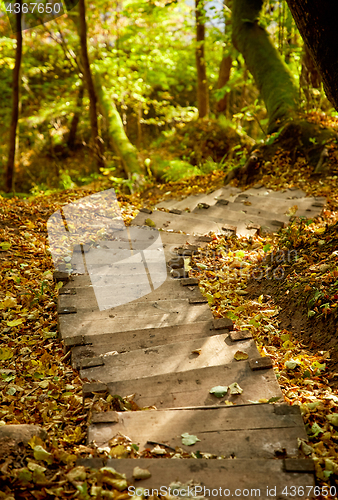 Image of Stairway in a mountain park