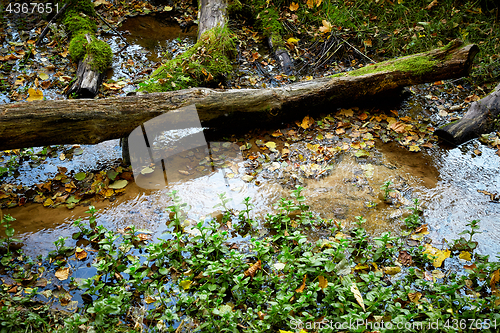 Image of Small mountain stream