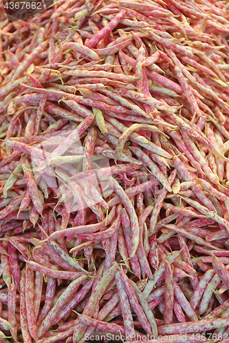 Image of Beans Borlotti