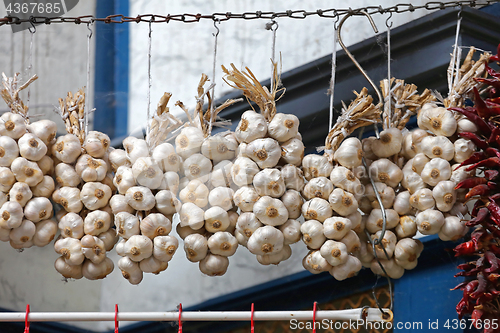 Image of Garlic