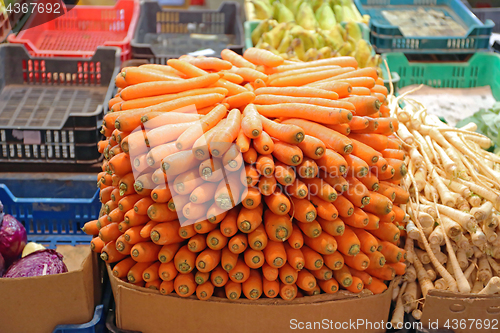 Image of Carrots