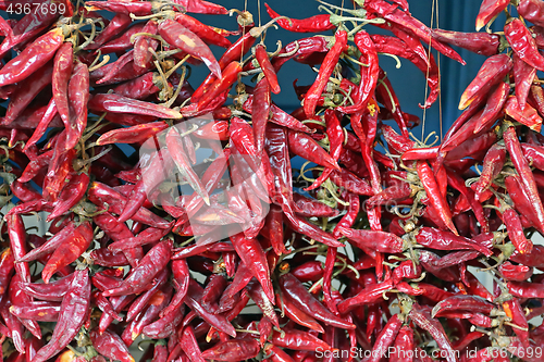 Image of Hungarian Paprika