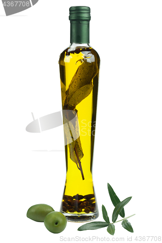 Image of Branch with olives and a bottle of olive oil with spicies isolat