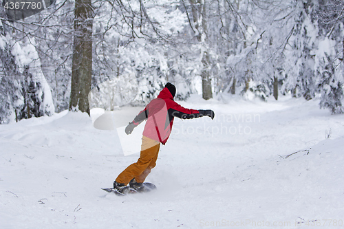 Image of Winter sport snowboarder at ski slopeand alps mountains landscap
