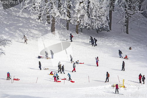 Image of A group kids and people sledding and skiing in the snow in the w