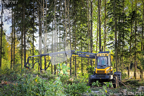 Image of Ponsse Ergo Forest Harvester at Work