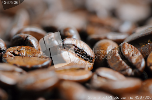 Image of roasted coffee beans macro background