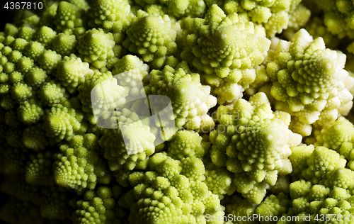 Image of Detail of Romanesco broccoli, also known as Roman cauliflower