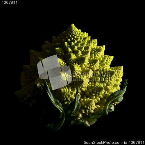 Image of Romanesco broccoli on black background