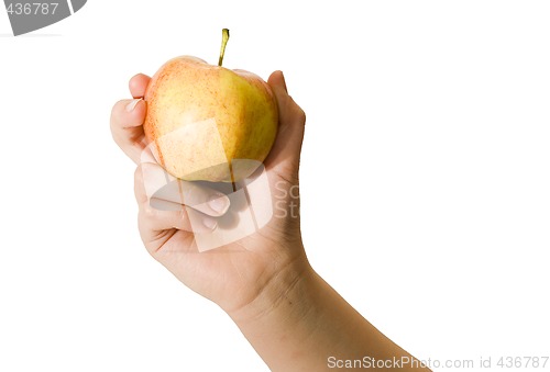Image of Fresh Apple