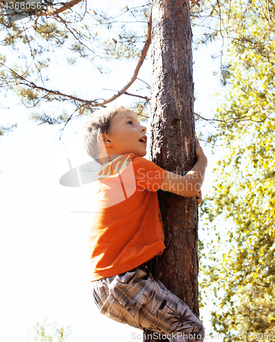 Image of little cute real boy climbing on tree hight, outdoor lifestyle c