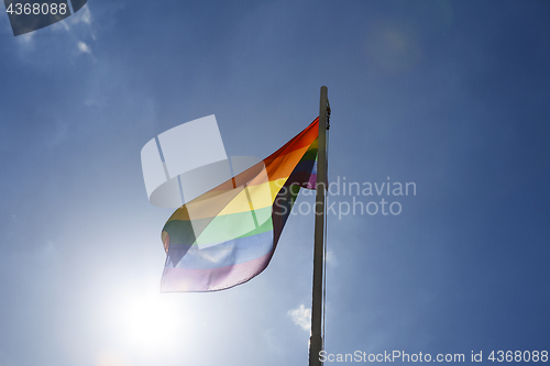 Image of Rainbow flag on a flagpole