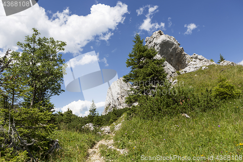 Image of Hiking in Bavarian Alps, Germany