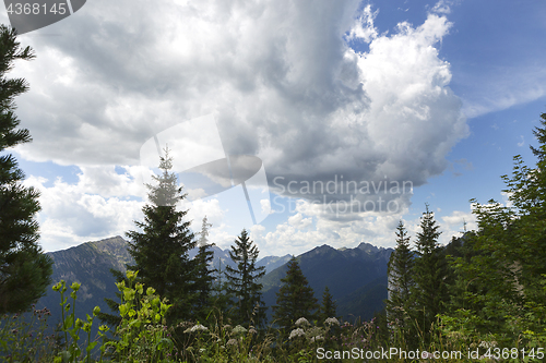 Image of Panorama view of Bavarian Alps, Germany