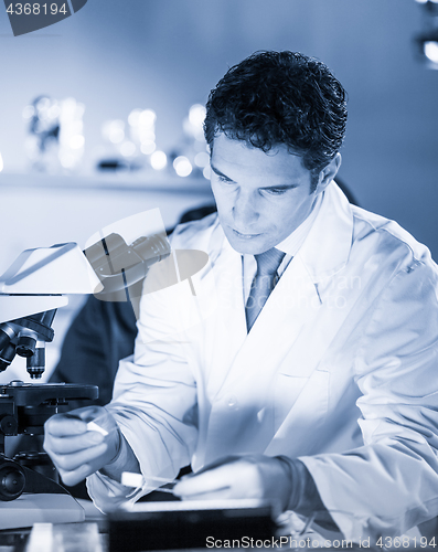 Image of Life science researcher working in scientific laboratory.