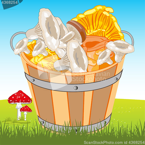 Image of Pail with mushroom