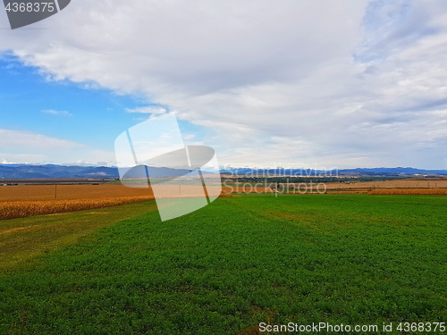 Image of Fields and the mountains as background