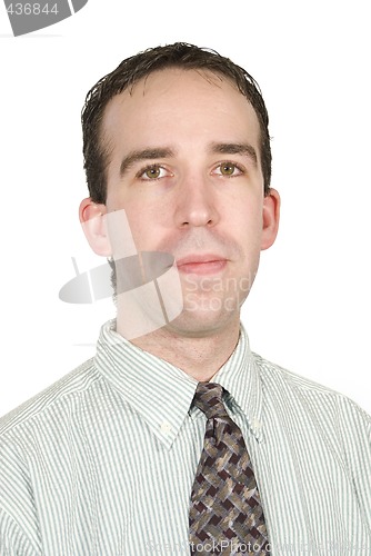 Image of Office Worker Portrait