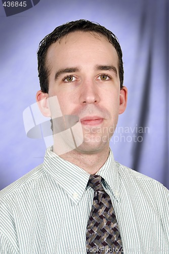 Image of Business Portrait