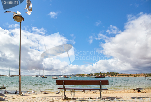 Image of wooden bench and seagulls