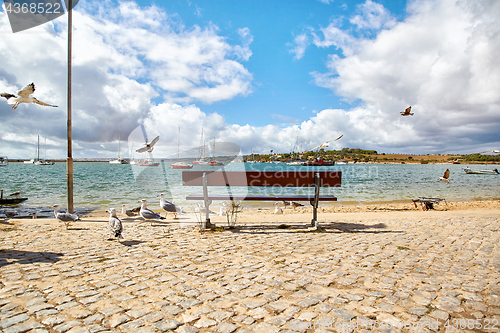 Image of wooden bench and seagulls