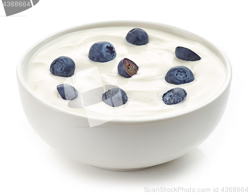 Image of bowl of yogurt cream with blueberries