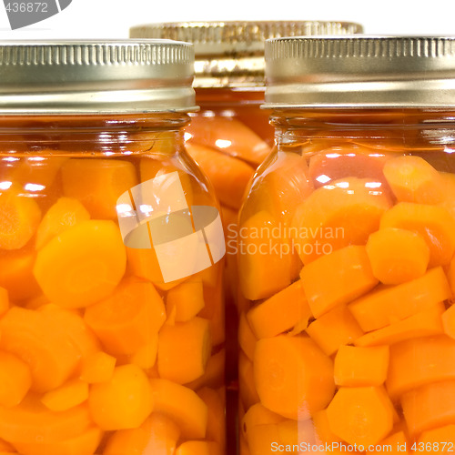 Image of Macro Canned Carrots