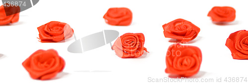 Image of Red Roses on White