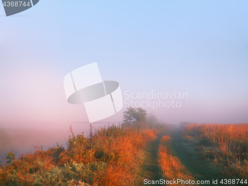 Image of Morning Mist in the Countryside