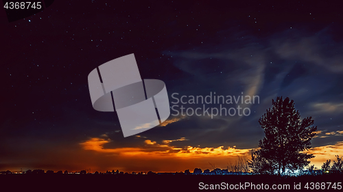 Image of Beautiful Night Starry Sky