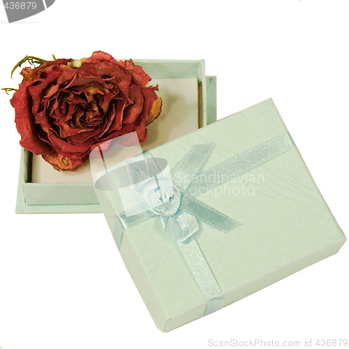 Image of Dried Rose In Gift Box