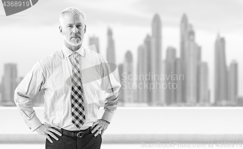 Image of Senior businessman in front of the big city