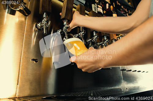 Image of Hand of bartender pouring a large lager beer in tap.