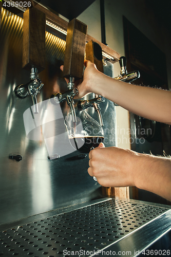 Image of Hand of bartender pouring a large lager beer in tap.